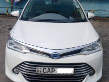 Toyota Axio G Grade 2015 Car