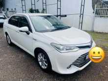 Toyota AXIO G Grade 2016 Car