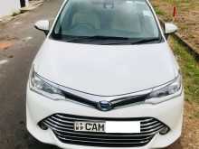 Toyota Axio G Grade 2015 Car