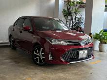 Toyota Axio G WXB 2019 Car