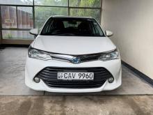 Toyota Axio G Grade 2017 Car