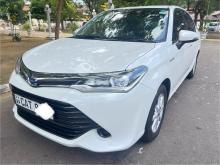 Toyota Axio G Grade 2016 Car