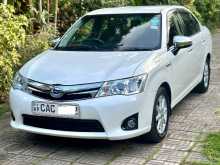 Toyota Axio G Grade 2014 Car