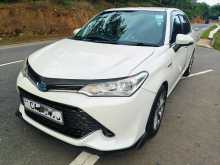 Toyota Axio G Grade 2014 Car