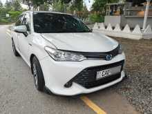 Toyota Axio G Grade 2014 Car