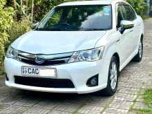 Toyota Axio G Grade 2014 Car