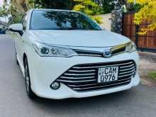 Toyota Axio G Grade 2015 Car