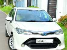 Toyota Axio G 2015 Car