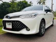 Toyota Axio G Grade 2015 Car