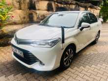 Toyota Axio G Grade 2015 Car