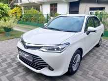 Toyota Axio G Grade 2015 Car