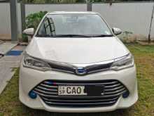 Toyota Axio G Grade 2015 Car