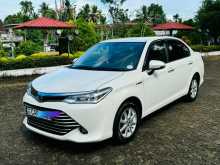 Toyota Axio G Grade 2015 Car