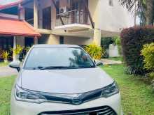 Toyota Axio G Grade 2015 Car