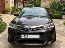 Toyota AXIO G SAFETY 2015 Car