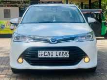 Toyota Axio G Grade 2015 Car