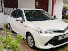 Toyota Axio G Grade 2015 Car