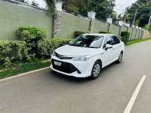 Toyota Axio G Grade 2015 Car