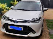 Toyota Axio G Grade 2015 Car