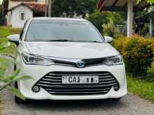 Toyota Axio G Grade 2015 Car