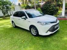 Toyota Axio G Grade 2015 Car