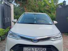 Toyota Axio G Grade 2015 Car