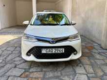 Toyota Axio G Grade 2015 Car