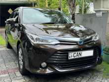 Toyota Axio G Grade 2015 Car