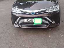 Toyota Axio G Grade 2015 Car
