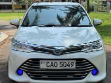 Toyota Axio G Grade 2015 Car