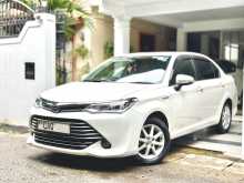 Toyota Axio G Grade Safety 2016 Car