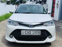 Toyota Axio G Grade 2016 Car