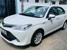 https://riyasewana.com/uploads/toyota-axio-g-2016-2411261612442.jpg
