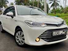 Toyota Axio G Grade 2016 Car