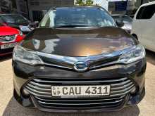 Toyota Axio G Grade 2016 Car