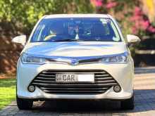 Toyota Axio G Grade 2016 Car