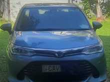 Toyota Axio G Grade 2016 Car