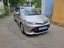Toyota Axio G Grade 2017 Car
