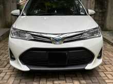 Toyota Axio G Grade 2018 Car