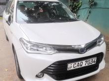 Toyota Axio G Grade 2016 Car