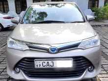 Toyota Axio G Grade 2015 Car