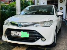 Toyota Axio G Grade 2016 Car