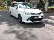 Toyota AXIO G GRADE 2016 Car