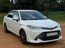 Toyota Axio G 2015 Car
