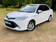 Toyota Axio G Safety 2015 Car