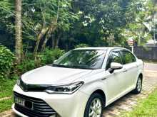 Toyota Axio G Grade 2016 Car