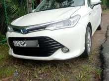 Toyota Axio G Grade 2015 Car