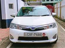 Toyota Axio G Grade 2014 Car