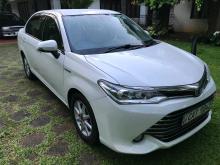 Toyota Axio G Grade 2016 Car