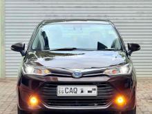 Toyota Axio G Grade 2015 Car